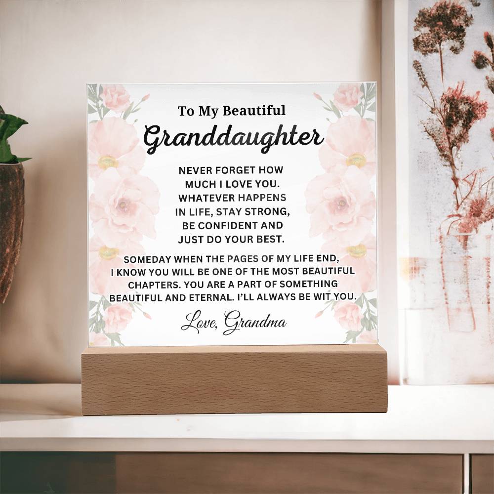 Granddaughter - Never Forget - Acrylic Plaque | From Grandma, Meaningf ...